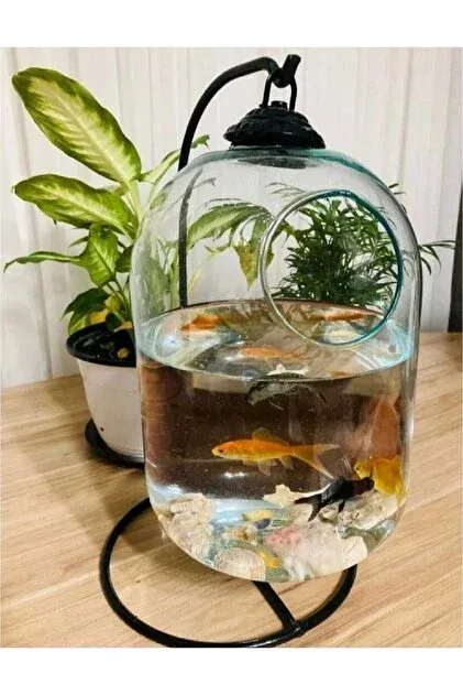 Ürün GizliAyı146 - Akvaryum kategorisi