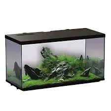 Ürün UzakBora215 - Akvaryum kategorisi